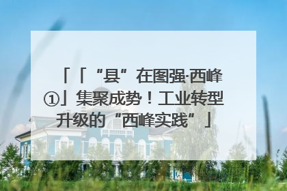 「“县”在图强·西峰①」集聚成势！工业转型升级的“西峰实践”