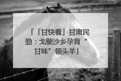 「甘快看」甘肃民勤：戈壁沙乡孕育“甘味”领头羊