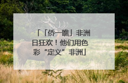 「侨一瞧」非洲日狂欢！他们用色彩“定义”非洲