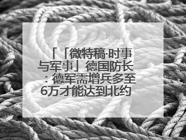 「微特稿·时事与军事」德国防长：德军需增兵多至6万才能达到北约新要求