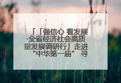 「强信心 看发展·全省经济社会高质量发展调研行」走进“中华第一庙” 寻根伏羲 祭祖龙城