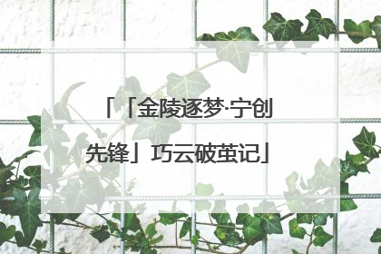 「金陵逐梦·宁创先锋」巧云破茧记