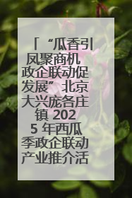 “瓜香引凤聚商机 政企联动促发展”北京大兴庞各庄镇 2025 年西瓜季政企联动产业推介活动圆满举行