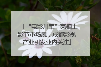 “电影川军”亮相上影节市场展，成都影视产业引发业内关注