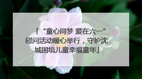 “童心同梦 爱在六一”慰问活动暖心举行，守护沈城困境儿童幸福童年