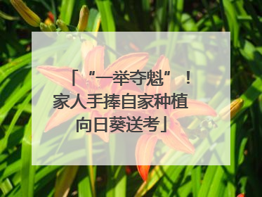 “一举夺魁”！家人手捧自家种植向日葵送考