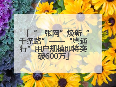 “一张网”焕新“千条路”——“粤通行”用户规模即将突破600万