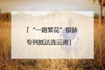 “一路繁花”银龄专列抵达连云港