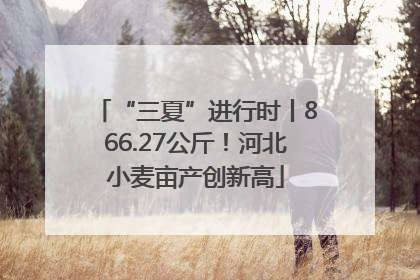 “三夏”进行时丨866.27公斤！河北小麦亩产创新高