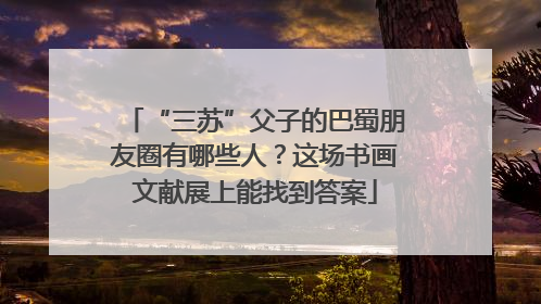 “三苏”父子的巴蜀朋友圈有哪些人？这场书画文献展上能找到答案