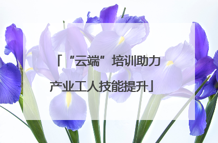 “云端”培训助力产业工人技能提升