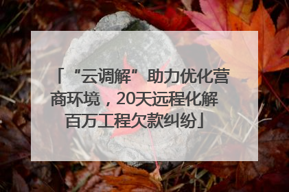 “云调解”助力优化营商环境，20天远程化解百万工程欠款纠纷