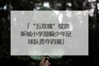 “五玫瑰”绽放 新城小学混编少年足球队勇夺四强