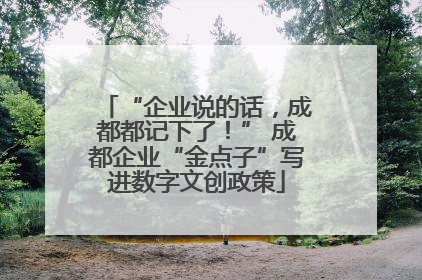 “企业说的话，成都都记下了！” 成都企业“金点子”写进数字文创政策