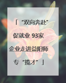 “双向奔赴”促就业 93家企业走进益阳师专“揽才”