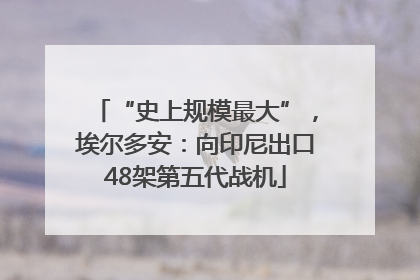 “史上规模最大”，埃尔多安：向印尼出口48架第五代战机