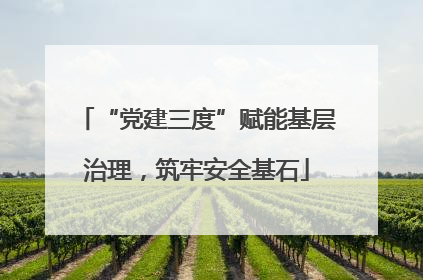 “党建三度”赋能基层治理,筑牢安全基石