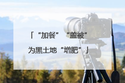 “加餐”“盖被” 为黑土地“增肥”