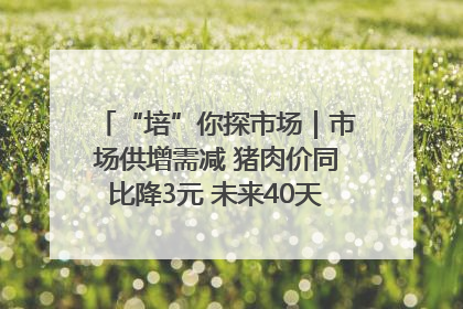 “培”你探市场｜市场供增需减 猪肉价同比降3元 未来40天便宜猪肉敞开吃
