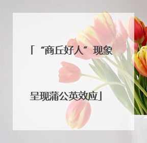 “商丘好人”现象呈现蒲公英效应