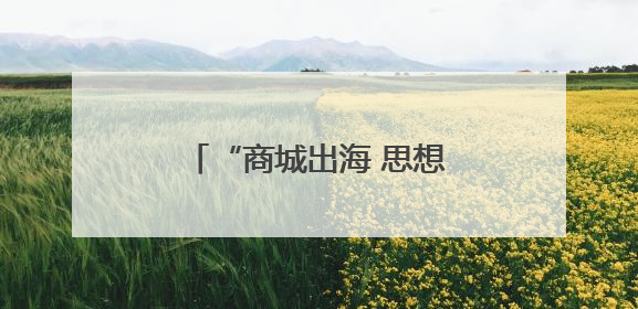 “商城出海 思想先行”——“双会”进商城学习调研活动在临沂顺利开展