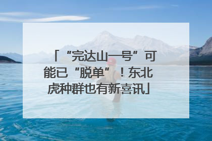 “完达山一号”可能已“脱单”！东北虎种群也有新喜讯