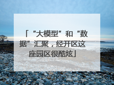 “大模型”和“数据”汇聚，经开区这座园区很酷炫