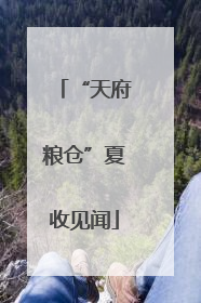 “天府粮仓”夏收见闻