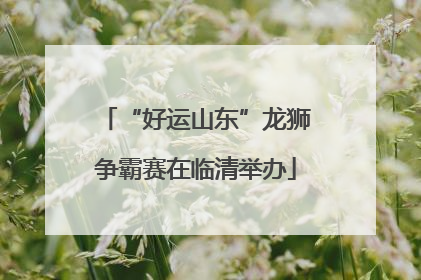 “好运山东”龙狮争霸赛在临清举办