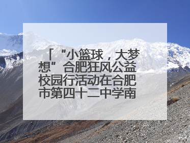 “小篮球，大梦想”合肥狂风公益校园行活动在合肥市第四十二中学南城分校圆满落幕