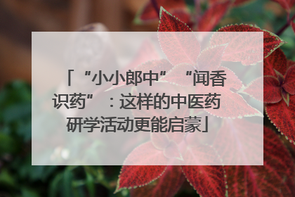 “小小郎中”“闻香识药”：这样的中医药研学活动更能启蒙