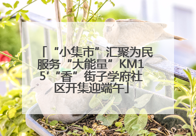 “小集市”汇聚为民服务“大能量”KM15′“香”街子学府社区开集迎端午