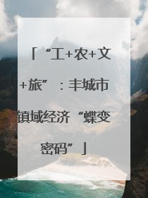 “工+农+文+旅”：丰城市镇域经济“蝶变密码”
