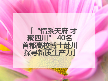 “情系天府 才聚四川” 40名首都高校博士赴川探寻新质生产力