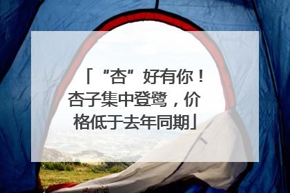 “杏”好有你！杏子集中登鹭，价格低于去年同期