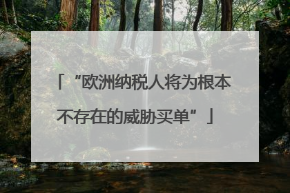 “欧洲纳税人将为根本不存在的威胁买单”