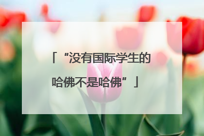 “没有国际学生的哈佛不是哈佛”