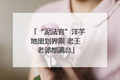 “泥法官”洋芋地里划界限 老王老郭都满意
