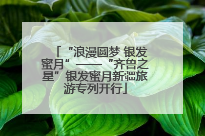 “浪漫圆梦 银发蜜月”——“齐鲁之星”银发蜜月新疆旅游专列开行