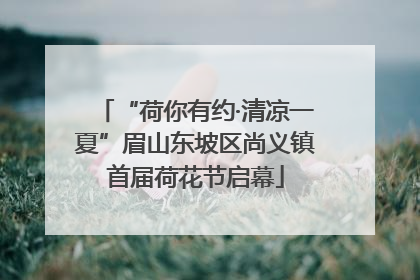 “荷你有约·清凉一夏”眉山东坡区尚义镇首届荷花节启幕
