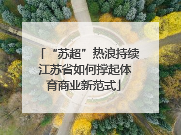 “苏超”热浪持续 江苏省如何撑起体育商业新范式