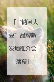 “讷河大豆”品牌新发地推介会落幕