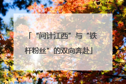 “问计江西”与“铁杆粉丝”的双向奔赴