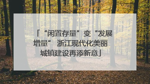 “闲置存量”变“发展增量” 浙江现代化美丽城镇建设再添新意