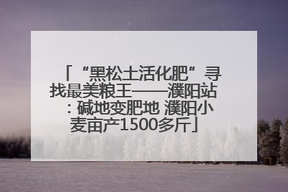 “黑松土活化肥”寻找最美粮王——濮阳站：碱地变肥地 濮阳小麦亩产1500多斤