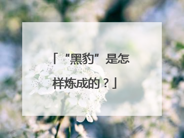 “黑豹”是怎样炼成的？