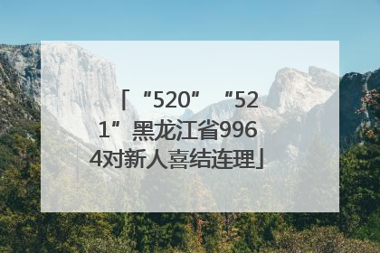 “520”“521”黑龙江省9964对新人喜结连理