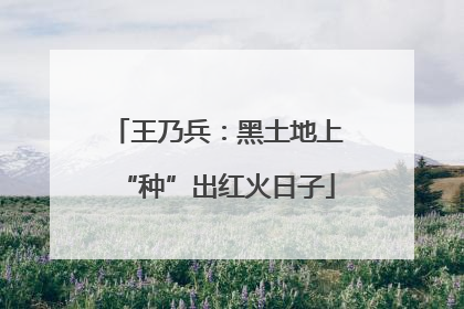 王乃兵：黑土地上“种”出红火日子
