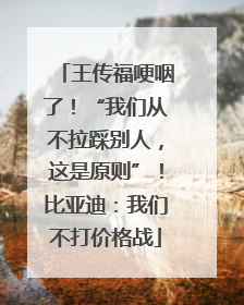 王传福哽咽了！“我们从不拉踩别人，这是原则”！比亚迪：我们不打价格战