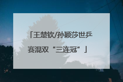王楚钦/孙颖莎世乒赛混双“三连冠”